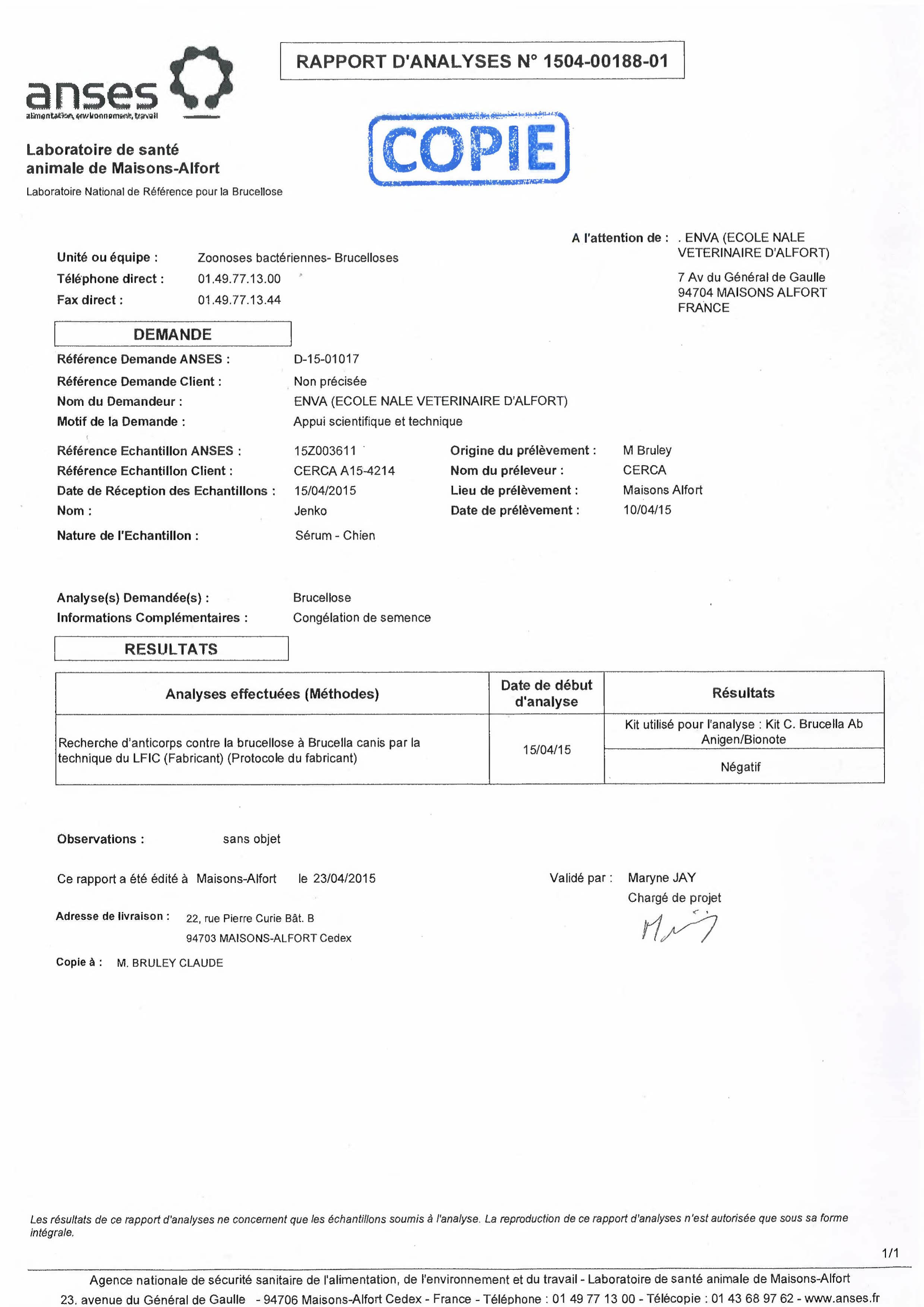 analyse de spermogramme analyse de spermogramme